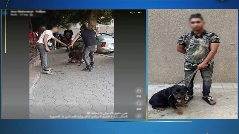 الشرطة تكشف ملابسات فيديو متداول يظهر إطلاق كلب لمهاجمة كلب ضال بالجيزة
