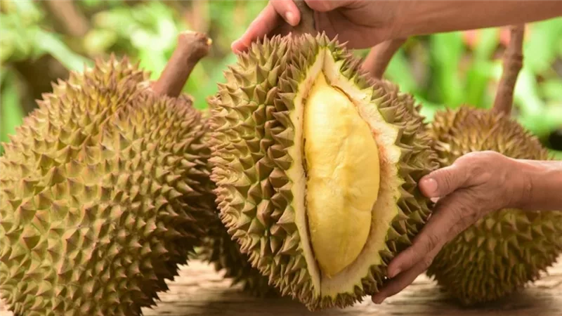 أغلى وأغرب أنواع الفواكه فى العالم.. من الكمثرى البوذية وسيكاي انشئ ابل