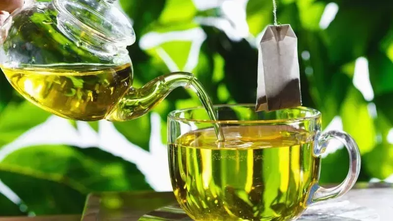 اكتشف قوة الشاي الأخضر في تعزيز الطاقة والوقاية من الأمراض