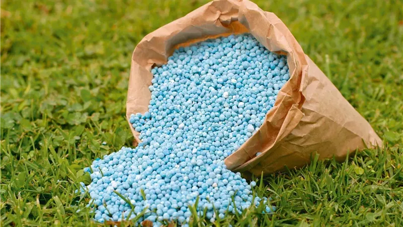 خبير: مصنع الأسمدة الفوسفاتية خطوة استراتيجية لتقليل الاستيراد ولتخفيض الأسعار
