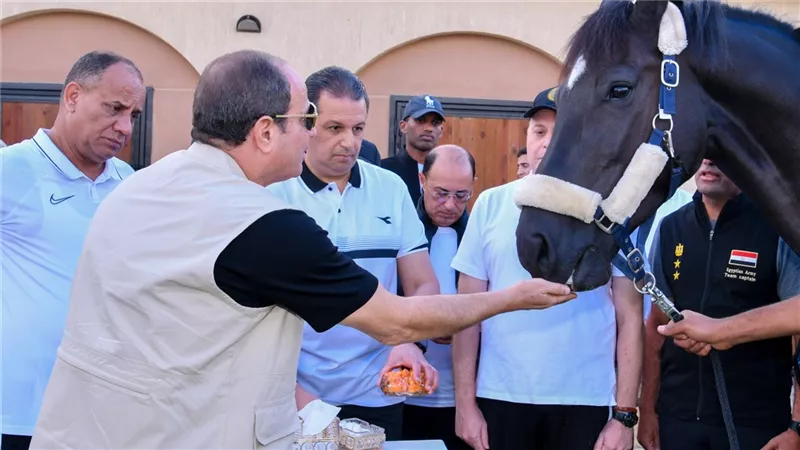 لمسة إنسانية.. الرئيس السيسي يطعم الخيل بيده داخل الأكاديمية العسكرية