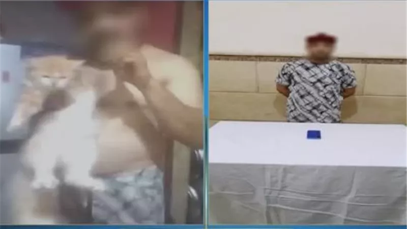 ضبط شخص بالإسماعيلية ظهر عاري الصدر وادعى علاج مرض السكري باستخدام الحيوانات