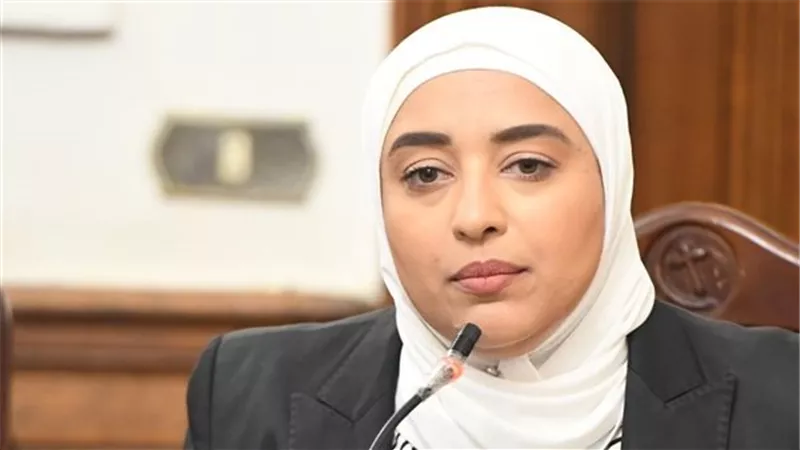 أميرة أبو شقة للحكومة: الشعب المصري يستحق الاحترام والتعامل باحترافية 