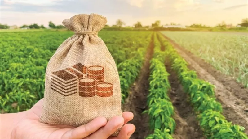 بفائدة 5%.. البنك الزراعي المصري يطلق قرض المحاصيل لدعم الفلاحين