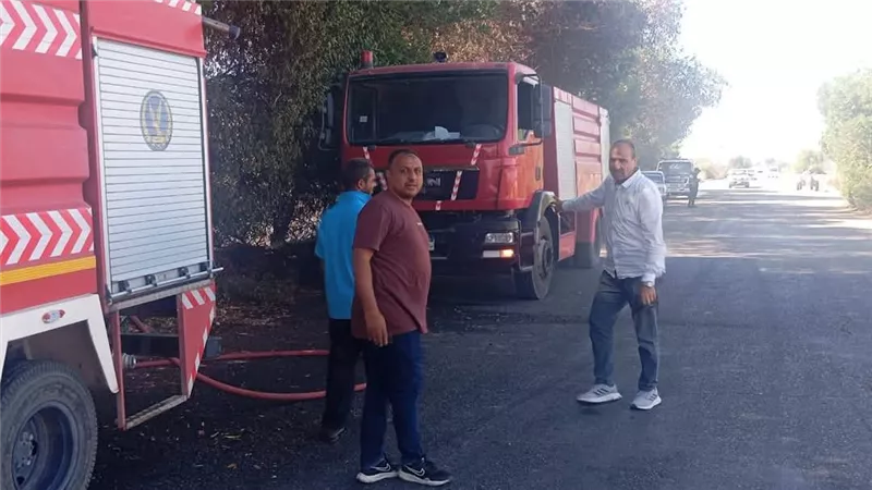 اشتعال النيران في محول كهرباء بشركة طنطا الزيوت والصابون بينها بالقليوبية 