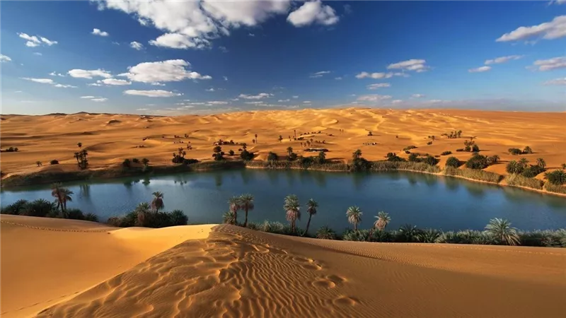وائل زعير: واحة سيوة تفتح آفاقًا جديدة للسياحة الشتوية والعلاجية