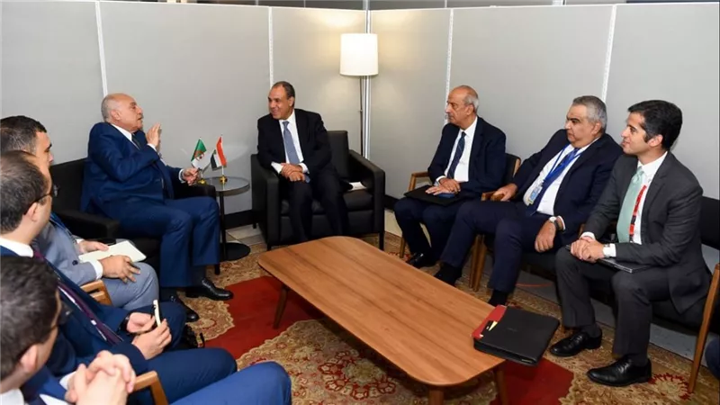 وزير الخارجية: الشركات المصرية جاهزة للمساهمة في مشروعات التنمية الجزائرية