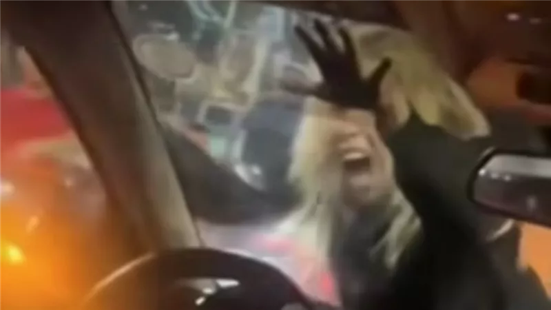 سيدة كندية تدافع عن حقيبتها.. حقيقة ظهور الزومبي في شبين الكوم بالمنوفية