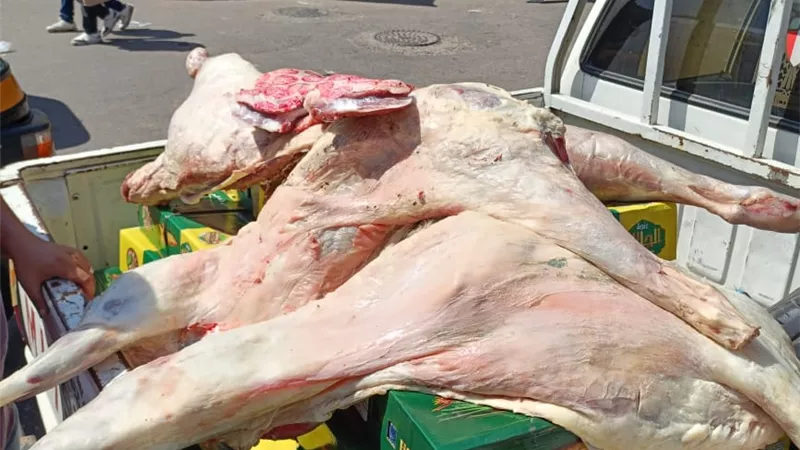 ضبط 235 كيلو لحوم وأسماك غير صالحة للاستهلاك الآدمي في البحيرة