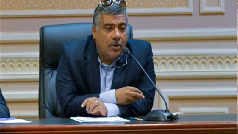 صناعة النواب: ارتفاع الإنتاج المفرط وعدم دراسة السوق أبرز أسباب تعثر المصانع