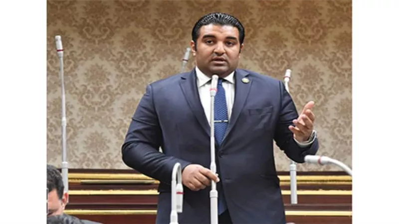 برلماني: فوز مصر بعضوية مجلس حقوق الإنسان  يضاف لسجل إنجازات الدولة مؤخرًا