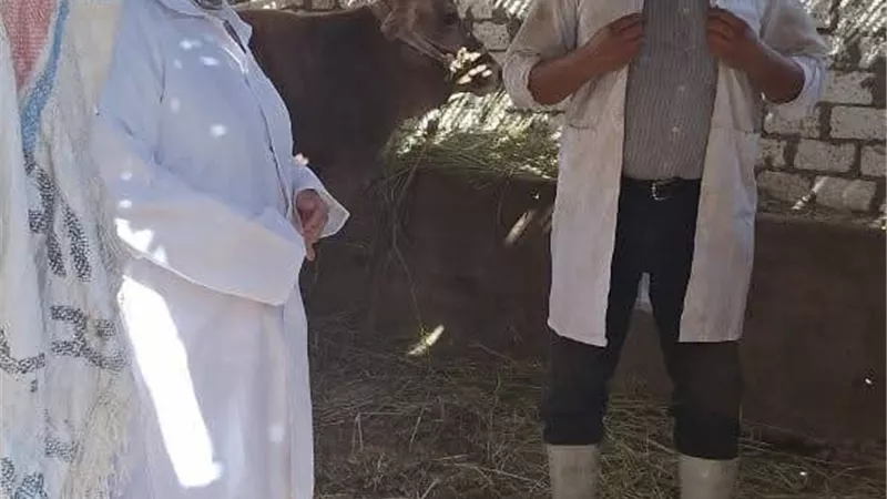 الطب البيطري بالسويس تنظم قافلة طبية مجانية لعلاج الحيوانات.. اليوم