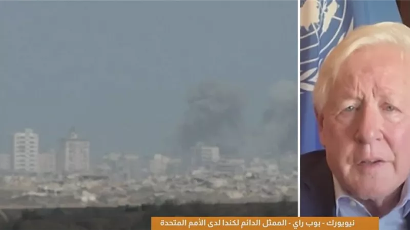 «بوب راي»: مصر تلعب دورًا محوريًا في دفع السلام والاستقرار بالمنطقة