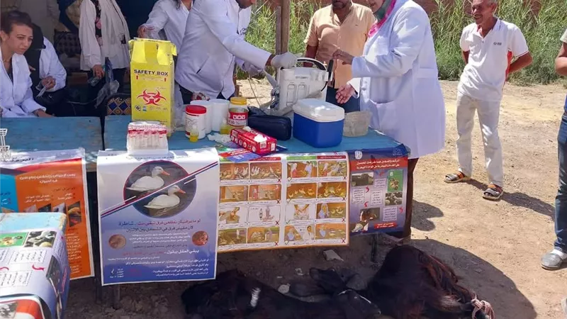عالجت 841 حالة.. قناة السويس و