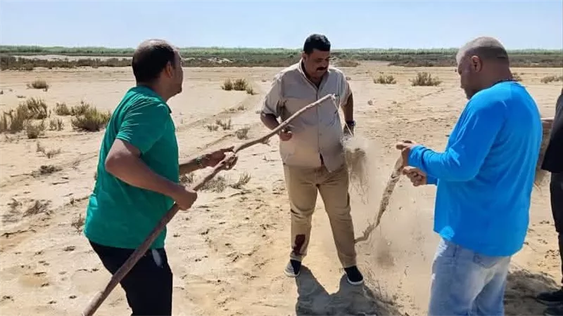 «عوض»: إزالة 6000 متر شباك مخالفة بمحمية أشتوم الجميل لحماية الطيور المهاجرة 
