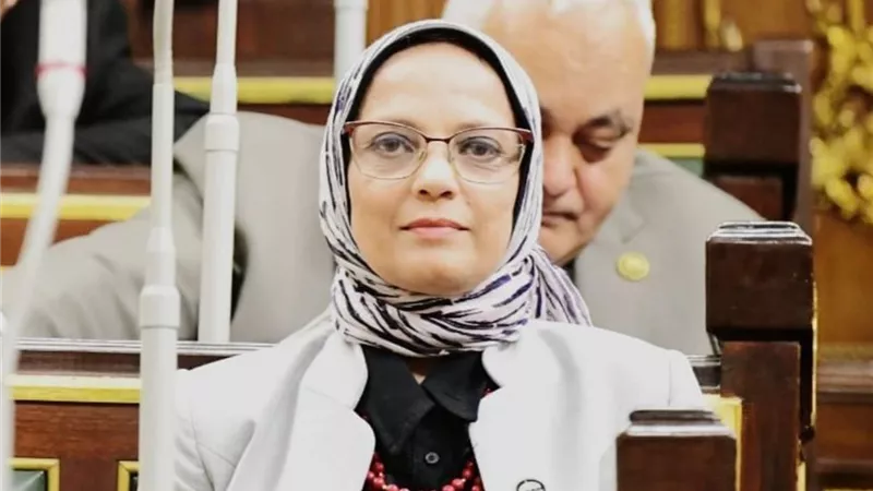 نجلاء العسيلي: تعديلات قانون المرور تعيد الانضباط للشارع وتحمي حق المواطن