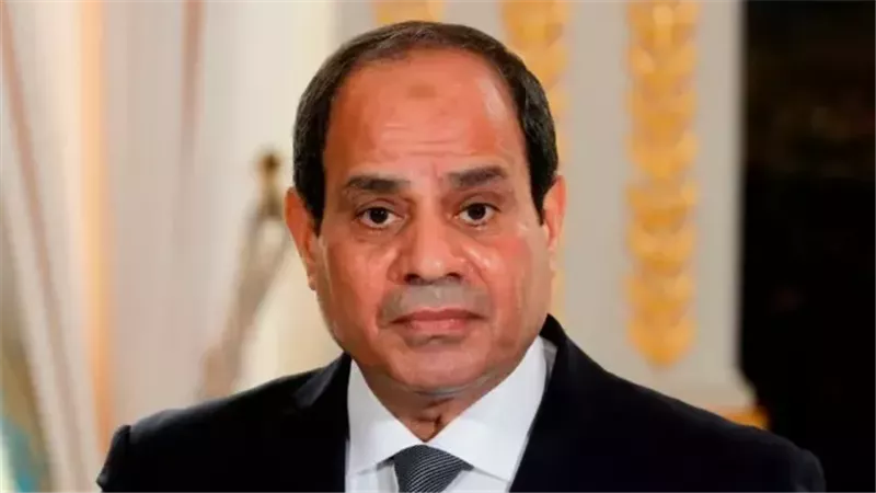  السيسي يوكد أهمية تعزيز الشراكة مع القطاع الخاص لجذب الاستثمارات الأجنبية
