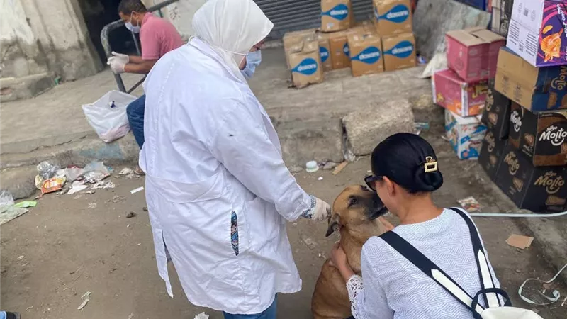 بيطري السويس يوزع 500 لقاح مجاني ويواصل حملات الوقاية ضد السعار