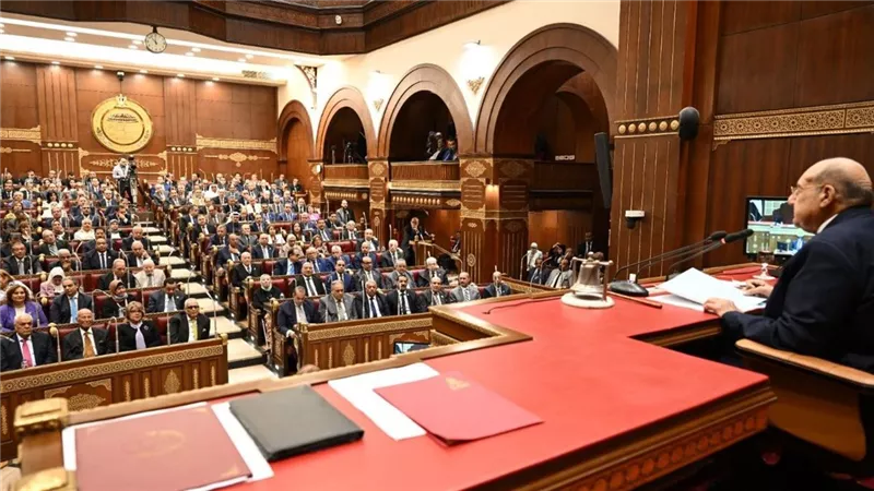 100 عضو معين بمجلس الشيوخ.. متى يكشف الرئيس عن الأسماء؟