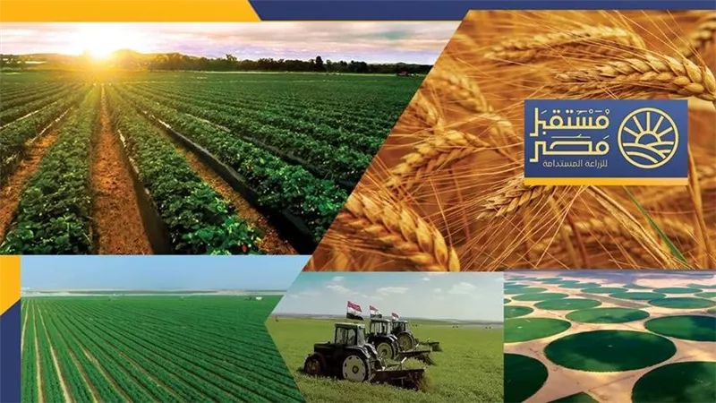 أستاذ بمركز البحوث يكشف المستور عن مشروعات مستقبل مصر وعلاقته بالإكتفاء الذاتي