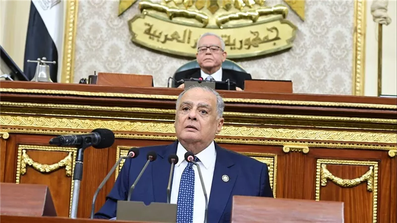قانون الإجراءات الجنائية.. الهنيدي يرحب بتدقيق الرئيس لضمان العدالة