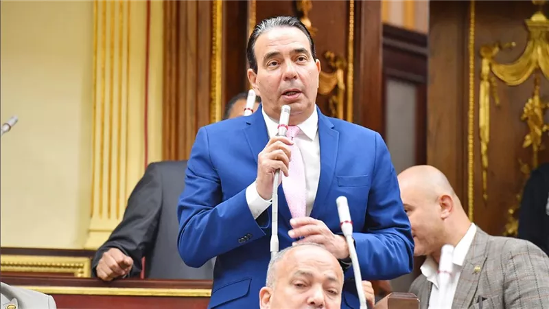النائب أيمن أبو العلا: أرفض تأجيل تنفيذ قانون الإجراءات الجنائية بعد إصداره