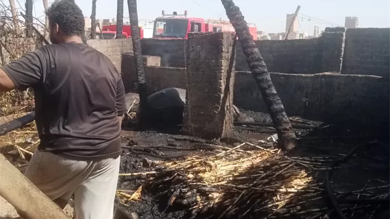 اندلاع حريق في حوشين ونفوق وإصابة 6 رؤوس ماشية بسوهاج
