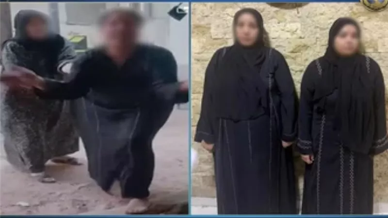 فيديو 