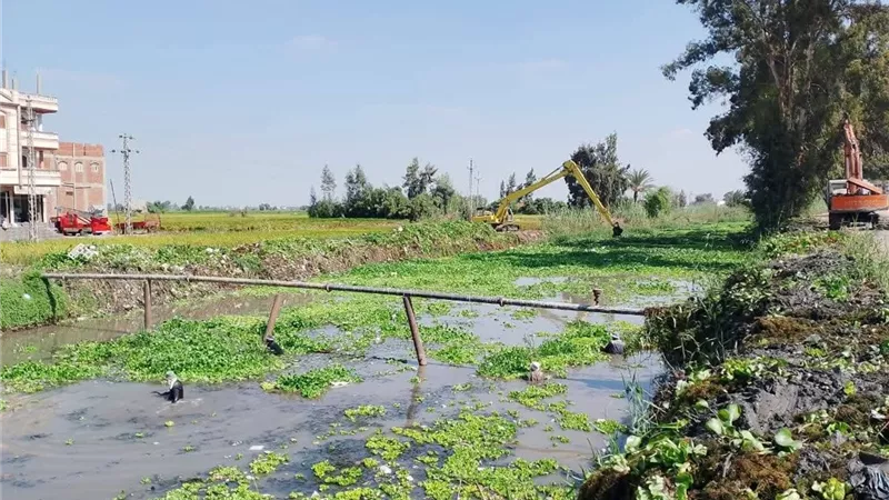 استجابة لما نشرته 
