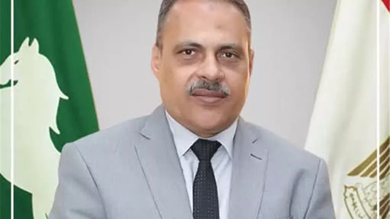 الشرقية تنهى استعداداتها لإجراء انتخابات النواب ضمن محافظات المرحلة الثانية