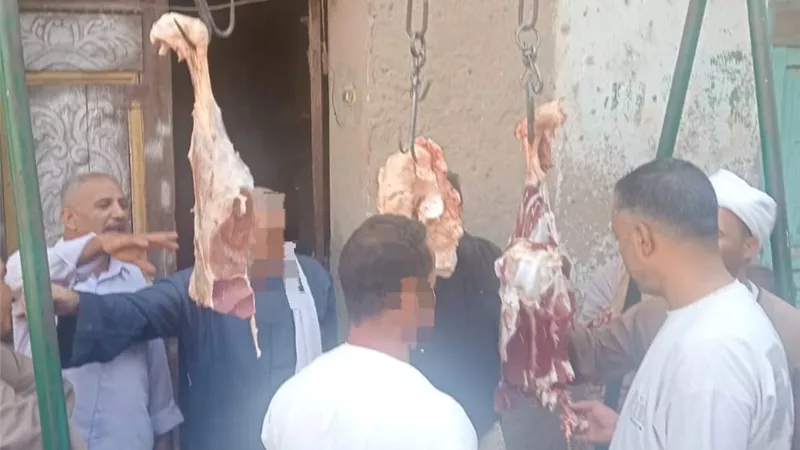 تحرير 17 محضر وضبط 3 طلمبات بترول غير مرخصة وسجائر مجهولة المصدر ببنى سويف