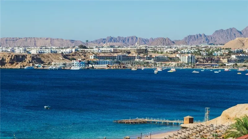منة فاروق: مشاورات بين وفدي حماس وإسرائيل وسط تفاؤل حذر  