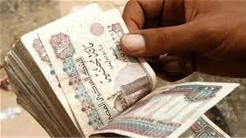 رواتب تصل إلى 8 آلاف جنيه.. وزارة العمل تفتح باب التوظيف لـ70 شابًا وفتاة