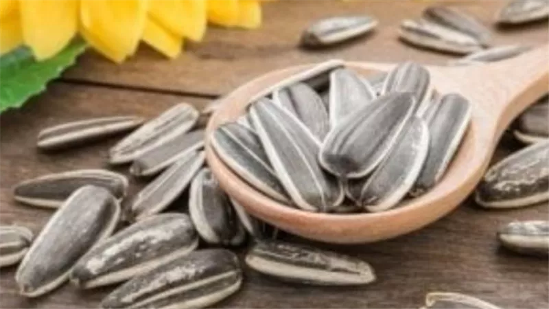 اللب السوري.. تسالي لذيذة وفوائد مفاجئة عند الاعتدال 