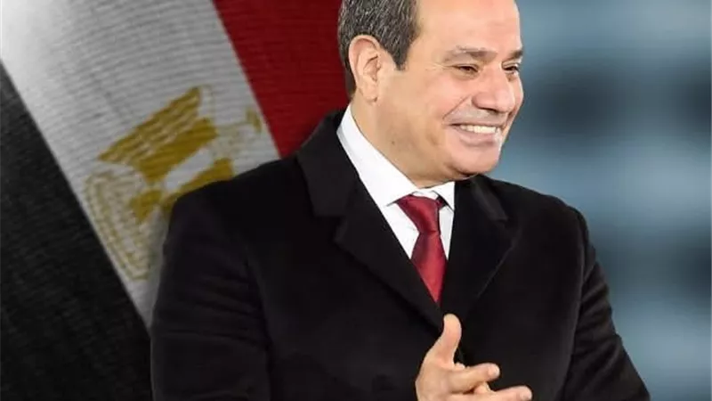إدريس : الرئيس السيسي قائد عظيم وأنقذ المنطقة من عواقب وخيمة باتفاق شرم الشيخ