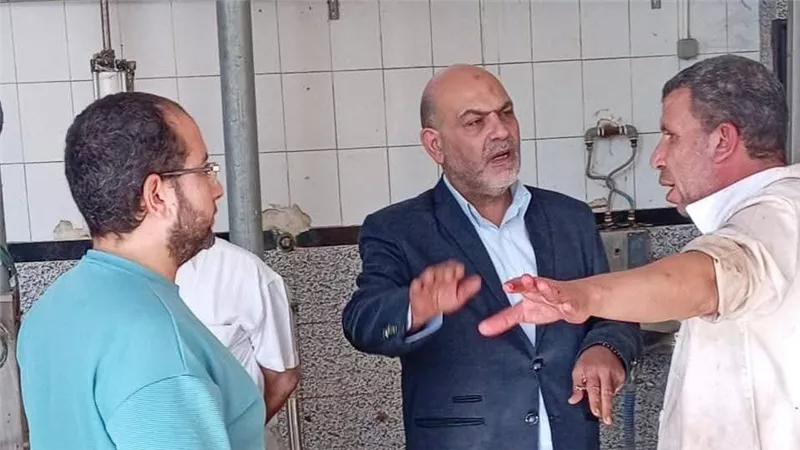 وكيل بيطري القليوبية يتفقد مجزر طوخ للتأكد من صلاحية اللحوم ومتابعة الإجراءات 
