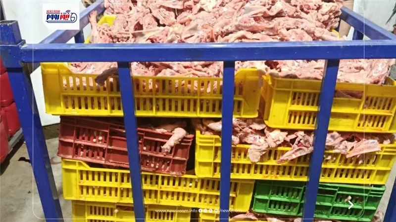 ضبط طن دواجن مقطعة بدون علامات أو بيانات وسلع غذائية منتهية الصلاحية بالفيوم  