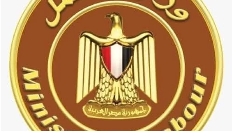 لقاء مع وفدٍ من شركة هواوي مصر لبحث الملفات.. حصاد وزارة العمل خلال أسبوع 