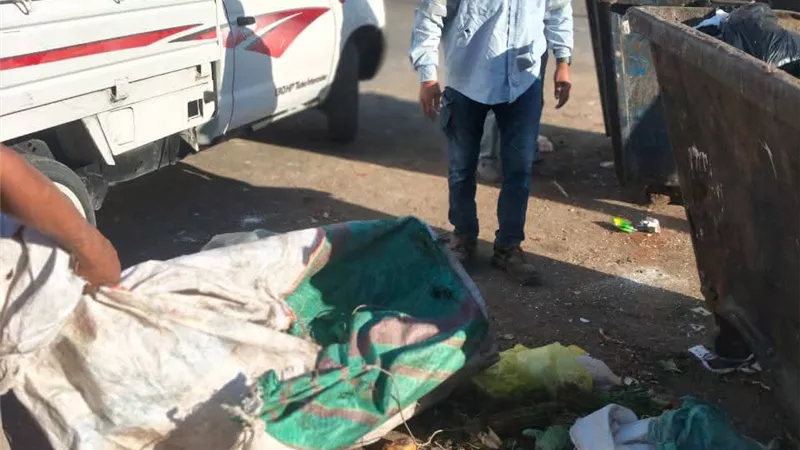 تفاصيل حملات النظافة وضبط النباشين وصيانة الكهرباء بحي فيصل في السويس