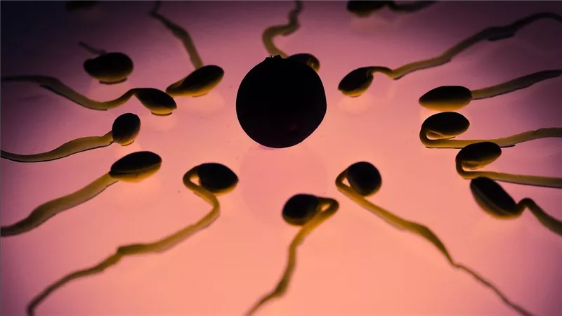 عدوى كوفيد-19 تؤثر على الجيل.. تغيرات الحيوانات المنوية تؤدي إلى زيادة القلق  