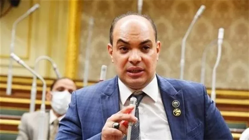 استقالة 5 نواب بعد تعيينهم في مجلس الشيوخ.. اعرف التفاصيل