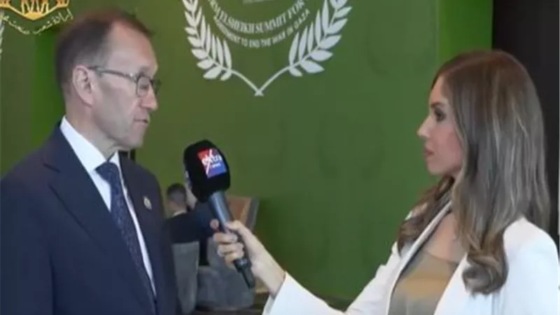 وزير الخارجية النرويجي: مصر أدت دورًا حاسمًا في التوصل لوقف إطلاق النار