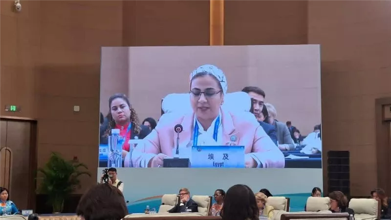 أمل عمار تلقى كلمة مصر في فعاليات القمة العالمية للمرأة 2025  فى الصين