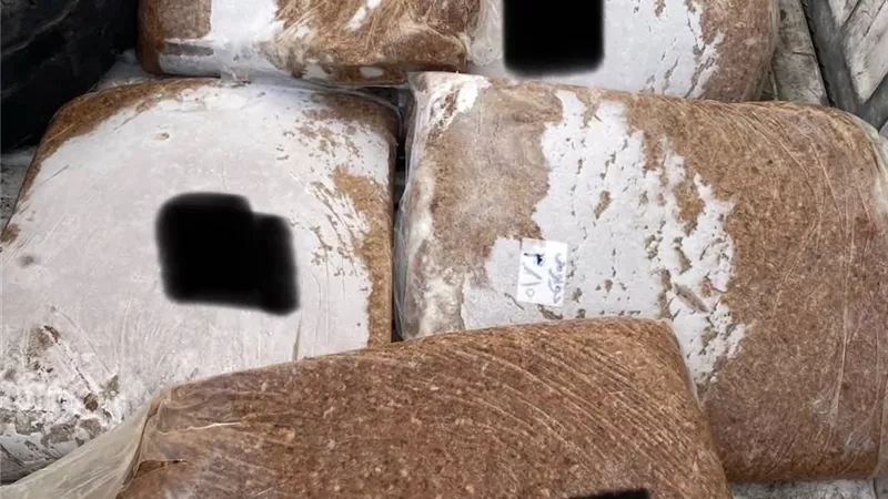 بيطرى دمياط: ضبط 126 كيلوجرامًا من اللحوم الفاسدة في الأسواق