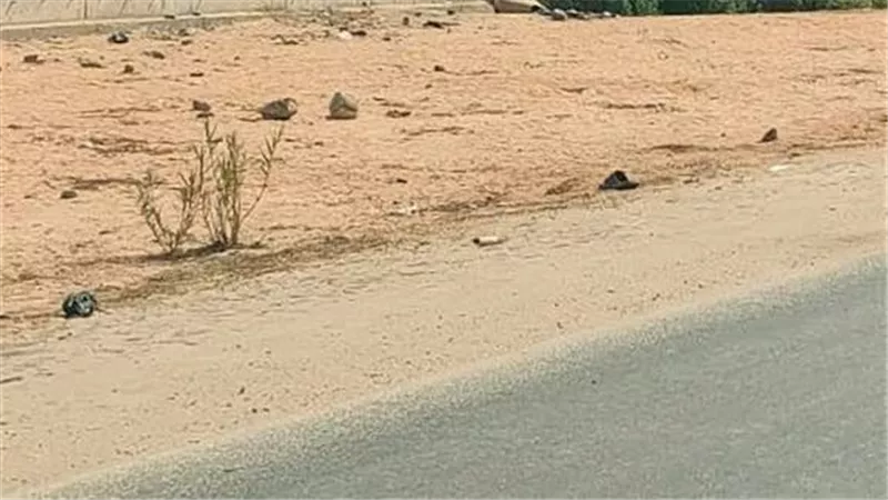 طريق “خمسة حديث” بين الإهمال والتجاهل.. حفر وتلفيات تهدد أرواح الأهالي بدمياط 