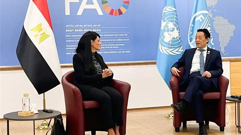 «المشاط» تبحث مع مدير عام الفاو تعزيز الشراكة لتحقيق الأمن الغذائي 