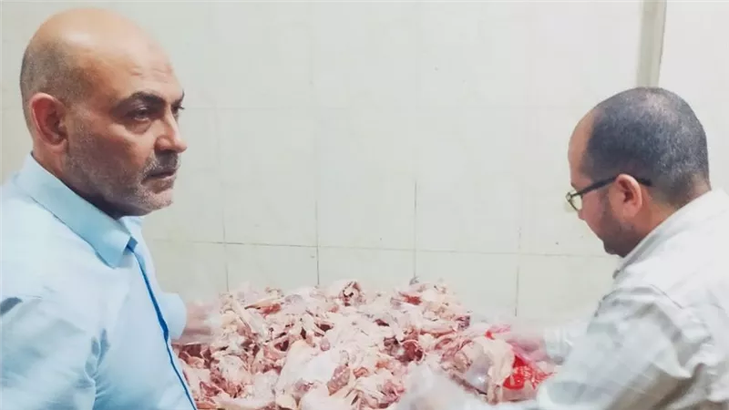 ضبط 4200 كيلو هياكل دواجن وكبدة مجمدة غير صالحة للاستهلاك الآدمي بالقليوبية