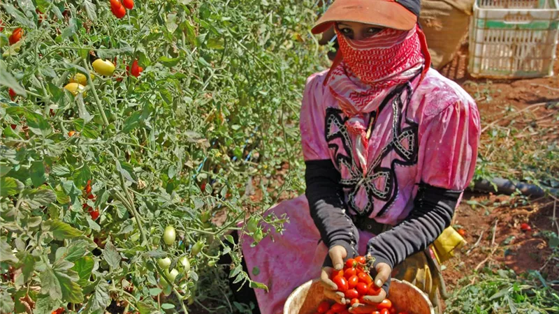 القومي للمرأة يطلق حملة ميدانية لدعم وتمكين النساء الريفيات.. تفاصيل
