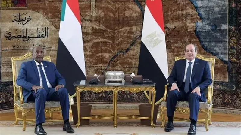 الرئيس السيسي والبرهان يبحثان مستجدات ملف مياه النيل          