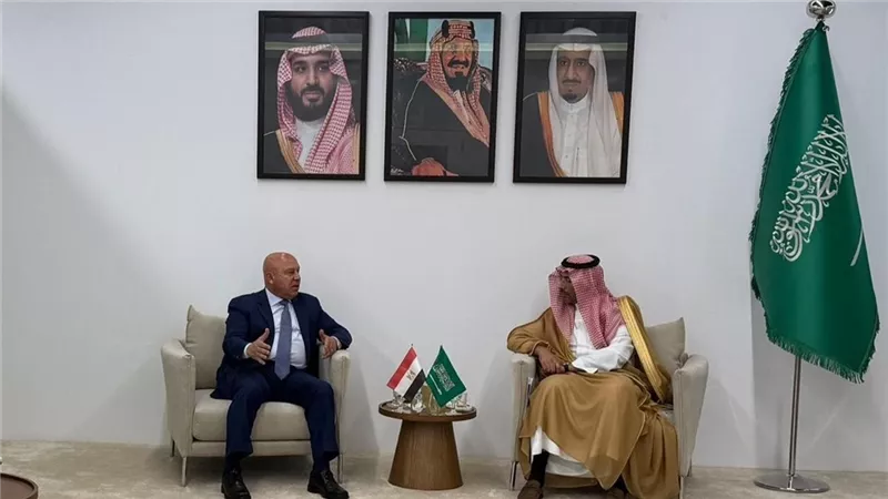 الوزير: السعودية من أكبر المستثمرين بمصر والعلاقات قائمة على شراكة استراتيجية